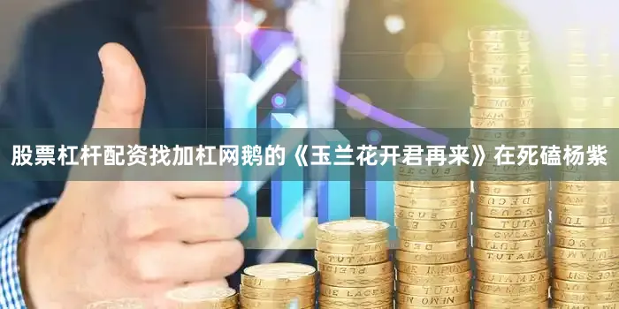 股票杠杆配资找加杠网鹅的《玉兰花开君再来》在死磕杨紫